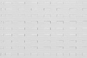 Intralox 1650 SeamFree
