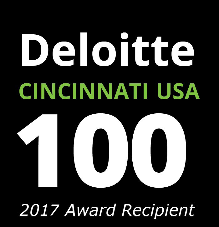 2017 deloitte