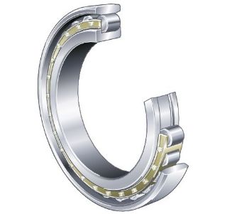 Picture of N1010-K-M1-SP FAG