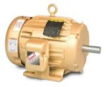 Picture for category AC Three Phase Motors