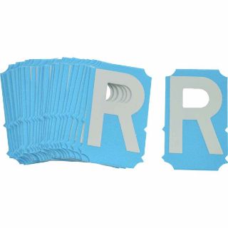 Picture of 6001-R BRA