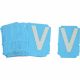 Picture of 6002-V BRA