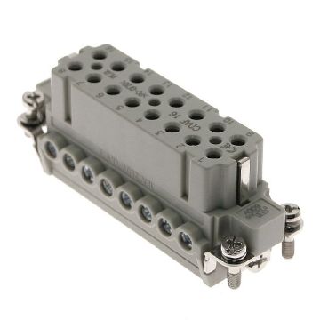 Picture of CDAF-16 MEN