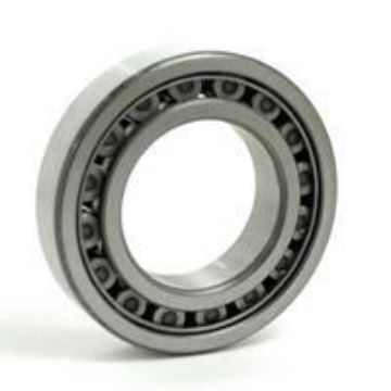 Picture of RLS15 BLT