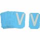 Picture of 6001-V BRA