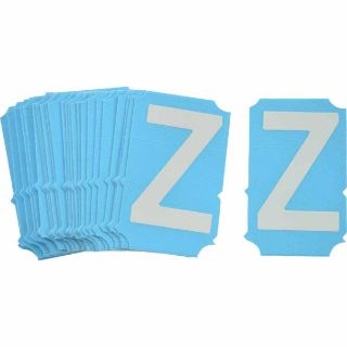 Picture of 6002-Z BRA
