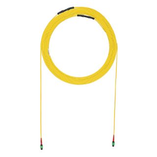 Picture of F9UYPE5E5ANF039 PAN