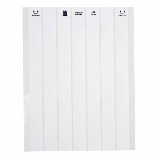 Picture of LAT-6-747-10 BRA