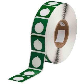 Picture of THTEP-169-593-.5GN BRA