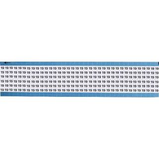 Picture of TWM-19-SC-PK BRA