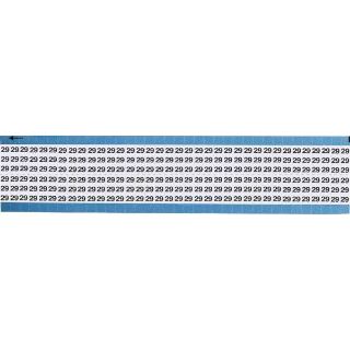 Picture of TWM-29-SC-PK BRA