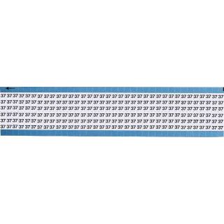 Picture of TWM-37-SC-PK BRA
