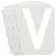 Picture of 5210P-V BRA