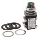 Picture of 800TCQCL424GRAW AB