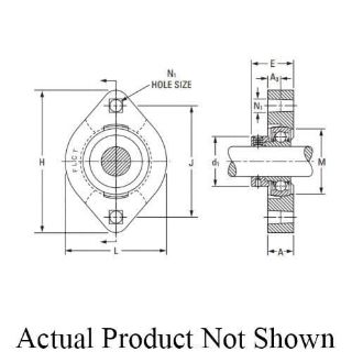 Picture of FLCT1 TKN