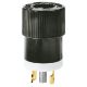 Picture of 7485NP HWD