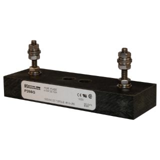 Picture of P266G FER