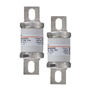 Picture of T097169 FER