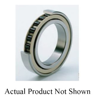 Picture of N1011-K-M1-SP FAG