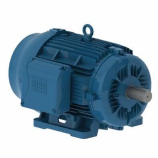 Picture of 04018ET3E324T-W22 WEG