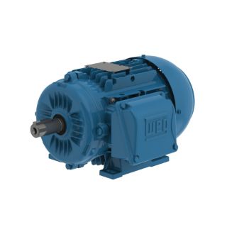 Picture of 00336ET3EAL100L-W22 WEG