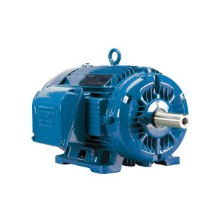Picture of 02512ET3E324T-W22G WEG