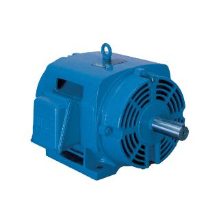 Picture of 05012OT3E365T-G WEG