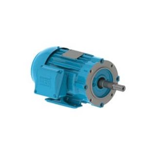Picture of 04036ET3E324JM-W22 WEG