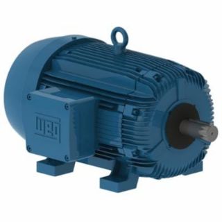 Picture of 05018XT3E326T WEG