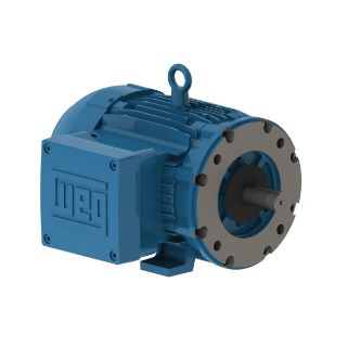 Picture of 05018XT3E326TC WEG