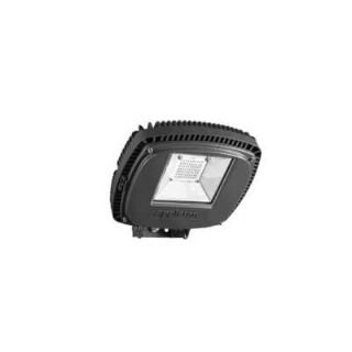 Picture of IAMLED67YBH APN