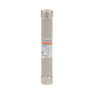 Picture of T088774 FER